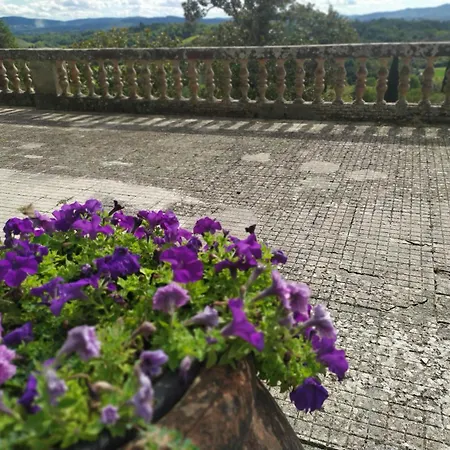 Total Tuscany Countryside 特拉诺瓦-布拉乔利尼